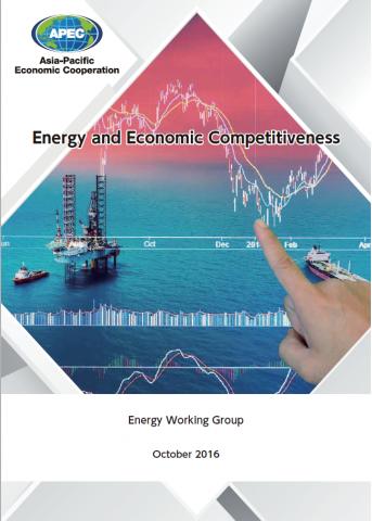 Energy and Economic Competitiveness