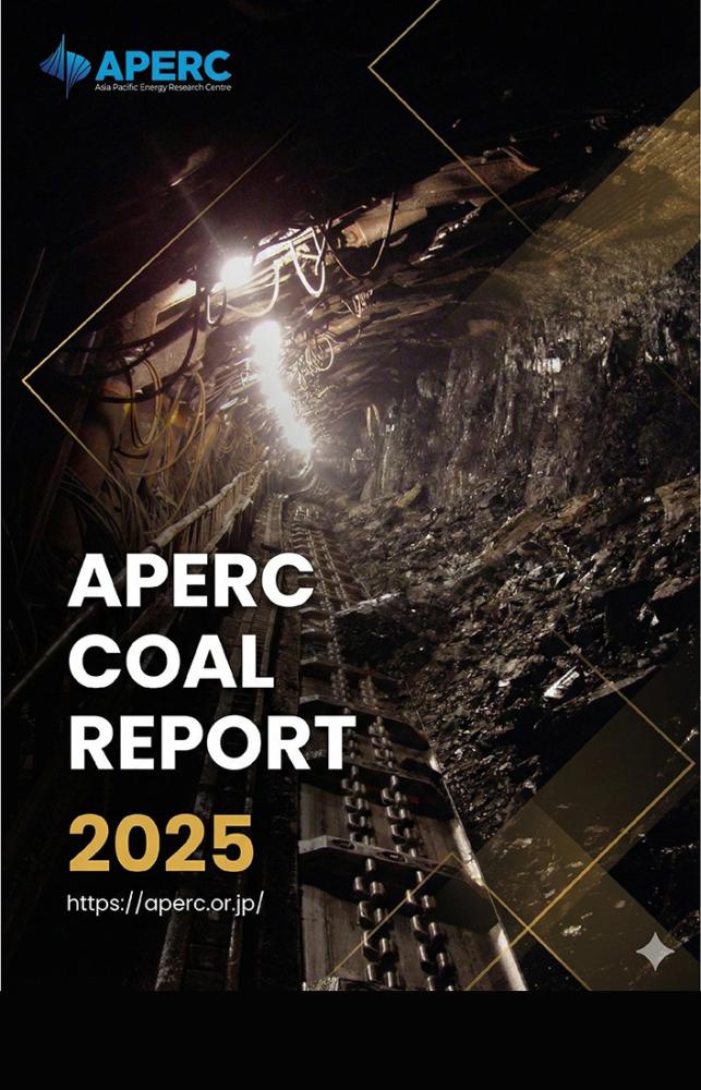 APERC Coal Report 2025