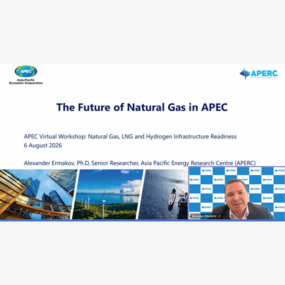 APERC Participates in APEC EWG Virtual Workshop on Natural Gas, LNG and Hydrogen Infrastructure Readiness